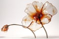 Background rose flowers glass