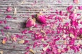 Background with rose petals and two dried flowers Royalty Free Stock Photo