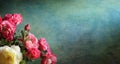Background with roses Royalty Free Stock Photo