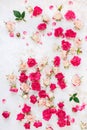 Background roses scattered on a vintage white surface