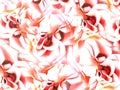 Background of roses. transparent white-pink roses. Closeup.