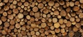 Background from round dry firewood in a pile for kindling a stove Royalty Free Stock Photo