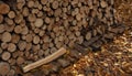 Background from round dry firewood in a pile for kindling a stove Royalty Free Stock Photo