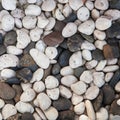 Background with round peeble stones Royalty Free Stock Photo