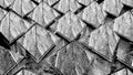 background from rows of black and white cracked pyramids. abstract three-dimensional composition. 3d render