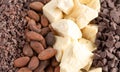 Background of Rows of Chocolate Nibs Cocoa Beans Cocoa Butter and Chocolate Chips