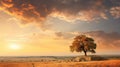 background rural sunrise cloud captivating