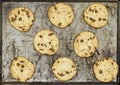 background of rustic tray homemade chocolate chip cookies
