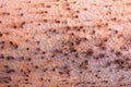 Background of rusty old metal and iron pattern texture, copy space Royalty Free Stock Photo