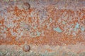 The background is rusty steel beam with rivets. The texture of the corroding metal Royalty Free Stock Photo