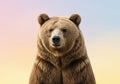 Background\'s gradient enhances the bear\'s profile, emphasizing its natural Royalty Free Stock Photo
