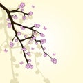 Background with sakura branch Royalty Free Stock Photo