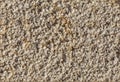 Background of salty sand on a beach Royalty Free Stock Photo