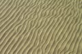 Background sand ripples under water Royalty Free Stock Photo