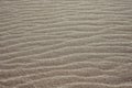 Background with sand texture Royalty Free Stock Photo