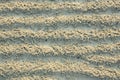 sandbeach surface Royalty Free Stock Photo