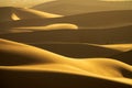 Background with of sandy dunes in desert Royalty Free Stock Photo
