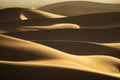 Background with of sandy dunes in desert