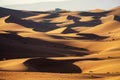 Background with sandy dunes in desert Royalty Free Stock Photo