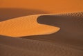 Background with sandy dunes in desert