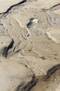 Background of sandy structures in wet sand on the beach in wave patterns Royalty Free Stock Photo