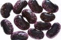 Background of Scarlet Runner beans