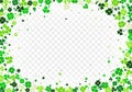 Background with scattered four leaved clovers and shamrocks for St Patrick`s Day isolated on white transparent background