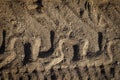 Background of scattered sand gravel Royalty Free Stock Photo