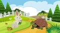 Background scene with rabbit and tortoise