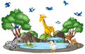 Background scene of wild animals and pond Royalty Free Stock Photo