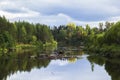 Background scenery little forest river with forest on the banks of the fall during leaf fall Royalty Free Stock Photo