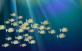 Background, school of fish, in a river of piranhas. Aquatic life. Optimized from to be used in decoration, many Pacu, illustration