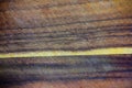 Background of scratched wood board
