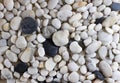 Background of sea pebbles close-up. Sea pebble texture