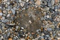 Background Sea pebbles and sand on the beach, texture close-up. space for text Royalty Free Stock Photo