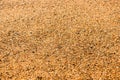 Background of sea sand with various small stones