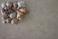 Background with Sea shell decoration Royalty Free Stock Photo