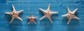 Background of sea shells and starfish Royalty Free Stock Photo