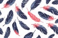 bird feathers background pattern, banner, wings background picture, seamless background