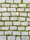 Background seamless texture of green grass sprouted between bricks of cobblestone path, top view. Royalty Free Stock Photo