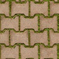 Background seamless texture of green grass sprouted between bricks of cobblestone path, top view. Royalty Free Stock Photo