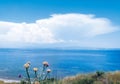 Background seascape of horizon line, calm charming blue sea and peaceful bay with dry flowers. Greece