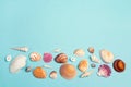 Background with seashells border on blue. Place for text. Royalty Free Stock Photo