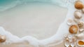 Background of seashells collection on sandy beach with ocean sea water and foam creating a border