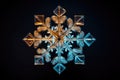 Blue white design pattern snow snowflake cold christmas winter ice ornament background frost Royalty Free Stock Photo