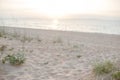 Background of a secluded sandy beach in pastel shades.