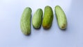 Green Cucumber image in white Background,four cucumber image, Selective Focus
