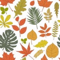 Background of a set of autumn leaves. Vector illustration