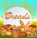 Background with a set of different bread