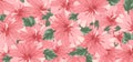 Background set of pink cucardas flowers Royalty Free Stock Photo